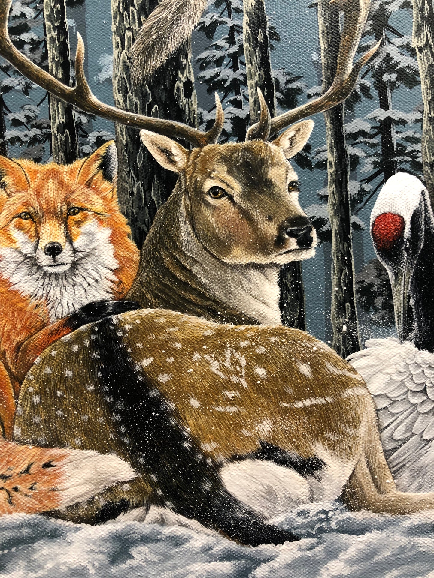 “Winter Harmony”