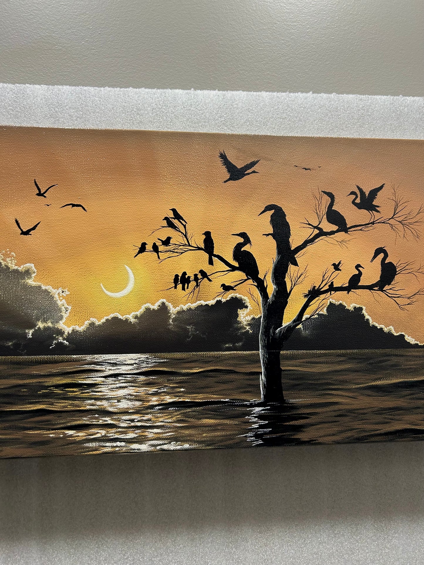 “The Moonrise on the Horizon”